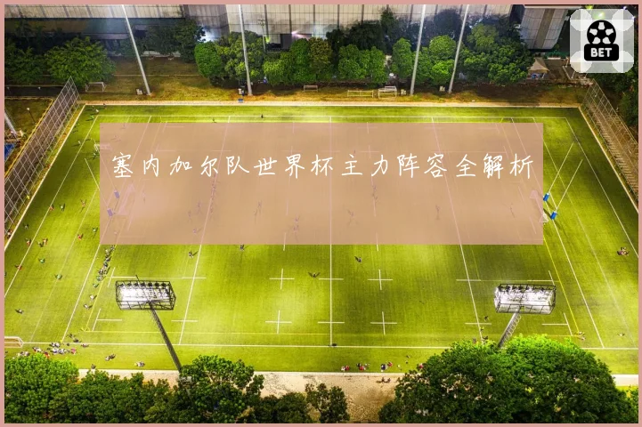 塞内加尔队世界杯主力阵容全解析