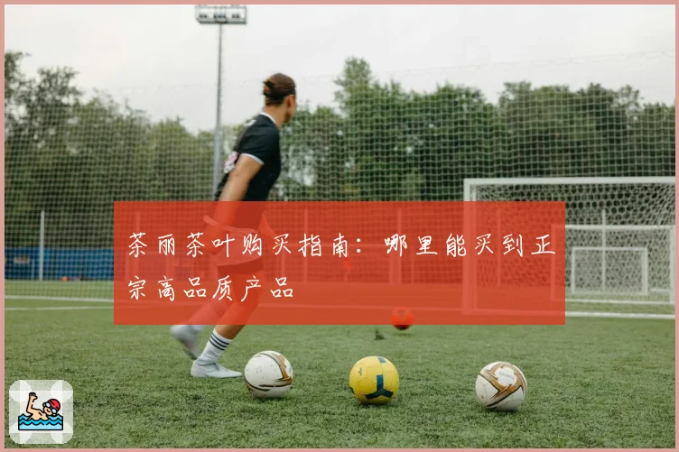 茶丽茶叶购买指南：哪里能买到正宗高品质产品