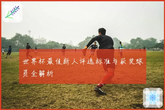 世界杯最佳新人评选标准与获奖球员全解析
