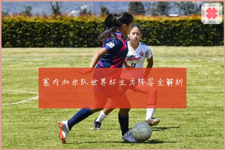 塞内加尔队世界杯主力阵容全解析