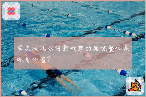 草皮状况如何影响您的庭院整体美观与价值？