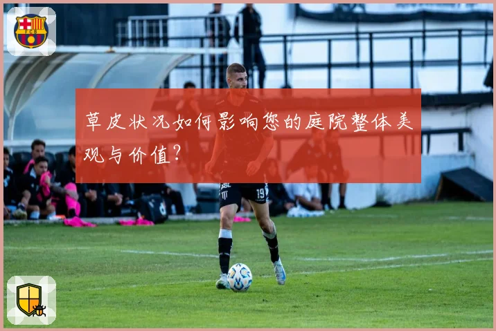 草皮状况如何影响您的庭院整体美观与价值？