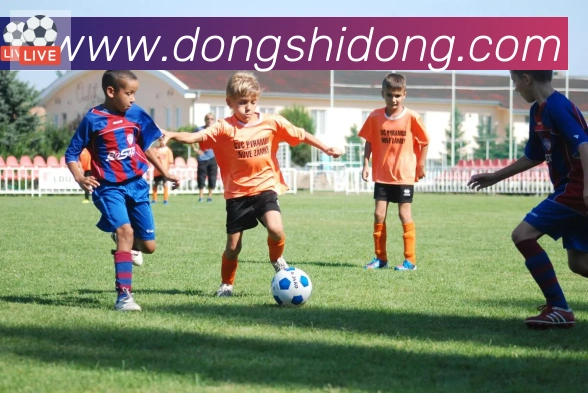 华体app登录入口发展历程