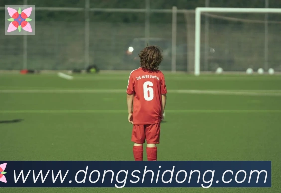 华体app登录入口荣誉