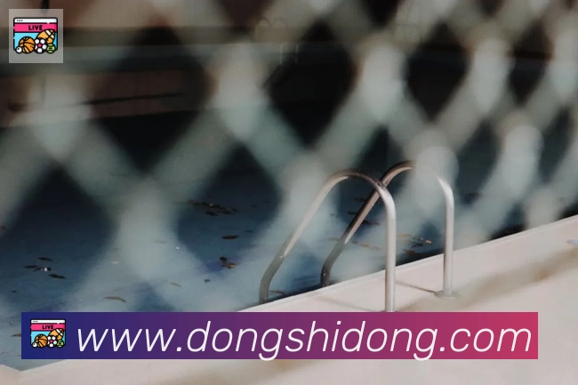 华体app登录入口荣誉