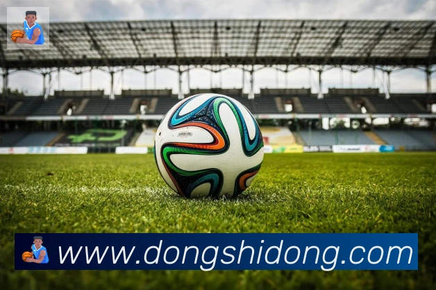 华体app登录入口全站App